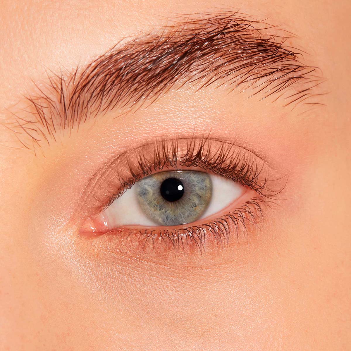 CHIC MONO EYESHADOW MATTE (SOMBRA DE OJOS MATE)